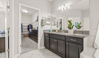 3212 CALVANO Dr, Land O Lakes, FL 34639