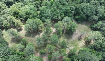 Highway 112, Abbeville, GA 31001