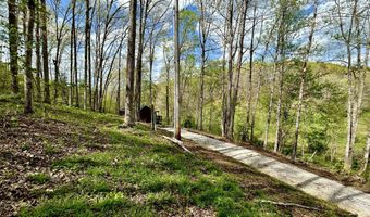 411 Alum Cave Rd, Annville, KY 40402