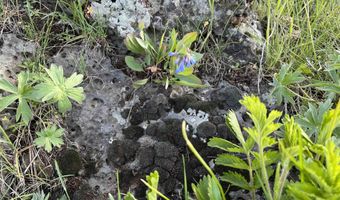 1403 Eighteen Mile Rd, Bancroft, ID 83217