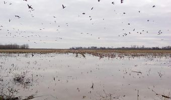 3300 Sheppard Island Rd, Altheimer, AR 72004