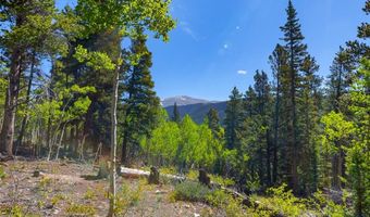 715 LEWSADER Rd, Alma, CO 80420