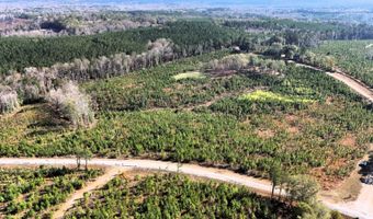 County Road 25, Banks, AL 36005