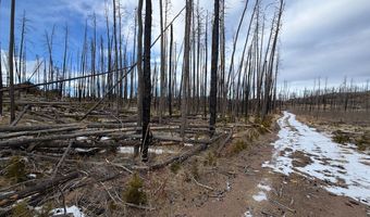 2025 Granite Rd, Bellvue, CO 80512