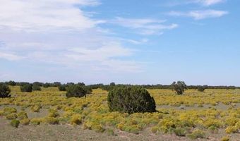 Bar Nothing Ranch Road unit 409 409, Chambers, AZ 86502