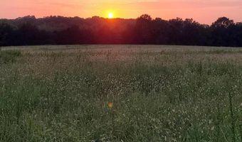 4775 S 50th Rd, Aldrich, MO 65601