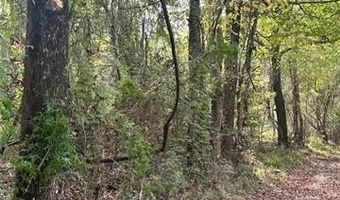 00 JARRELL TOWN Rd, Bogalusa, LA 70427