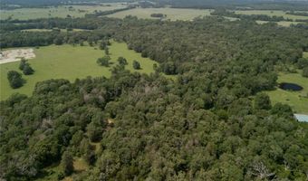 9 2 Acres CR 471, Teague, TX 75860