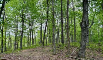 1271 A Tunnel Ridge Rd, Argillite, KY 41121