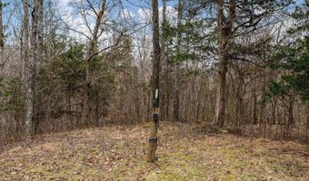 Smithtown Road, Afton, TN 37616