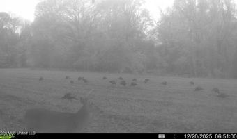425 Rose Hill Rd, Bentonia, MS 39040