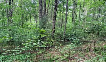 Chestnut Mountain Road, Banner Elk, NC 28604