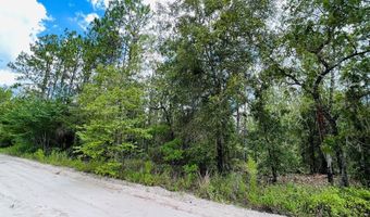 NW 116th Ave lot 10, Bell, FL 32619