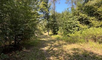 0 Nick Creek Rd, Bernice, LA 71222