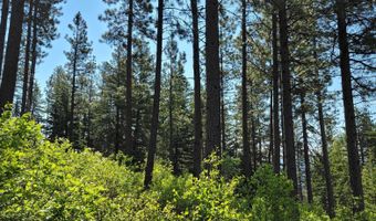 NNA Snowcat Lane, Bonners Ferry, ID 83805