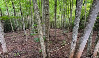 724 Streamside Dr, Arden, NC 28704