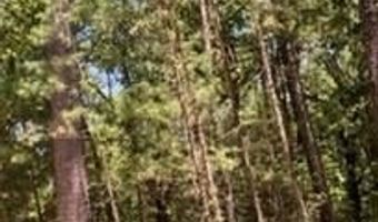 Whispering Pines, Antlers, OK 74523