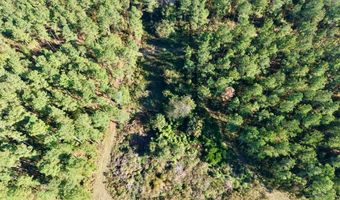 TBD Binnicker Bridge Road, Bamberg, SC 29003