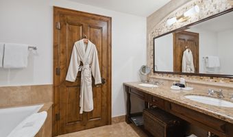 415 E Dean St Unit 10 Weeks 51 + 52, Aspen, CO 81611