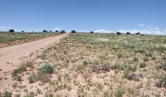 River Meadows Ranch lot 214, Concho, AZ 85924