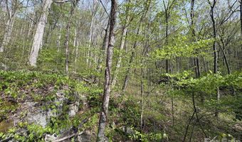 999999 Harwood Rd, Barnardsville, NC 28709