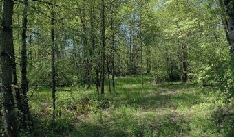 0 W Main St, Battle Ground, WA 98604