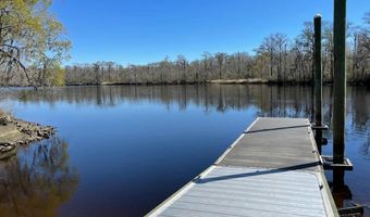 435 Alligator Ln, Andrews, SC 29510