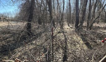 5725 Whitneyville Ave SE, Alto, MI 49302