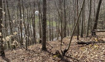 161 Daniels Rd Lot 0, Bandy, VA 24602