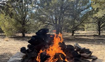 438 Carson Rd S, Carson, NM 87515