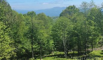 Foxfire Drive, Banner Elk, NC 28604