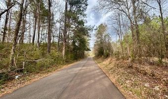 SE Lee Drive, Bogue Chitto, MS 39629