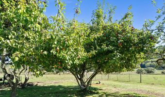 22600 BLAINE Rd, Beaver, OR 97108