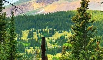 211 GOLDFINCH Pl, Alma, CO 80420