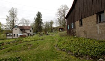 471 Algerine St, Afton, NY 13730
