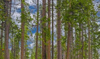 2883 Chinook Way, Arnold, CA 95223
