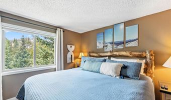 550 S FRENCH St 205, Breckenridge, CO 80424
