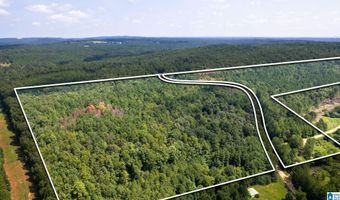62 ACRES TONEY Dr 62 ACRES, Altoona, AL 35952