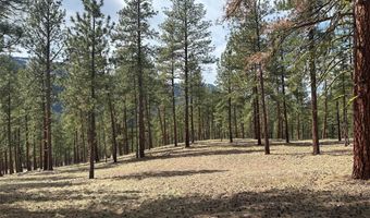 31760 HWY 10 W, Alberton, MT 59820