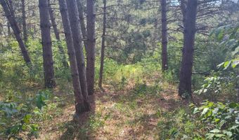 Lot 113 Beaver Lane, Arkdale, WI 54613