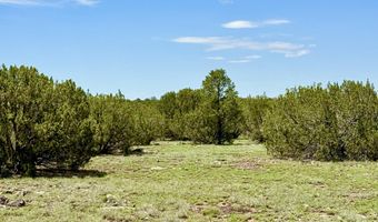 127 Co Rd 8051, Concho, AZ 85924