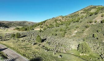 2006 Swenson Valley Rd, Bancroft, ID 83217