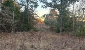 412110 E 1900 Rd, Antlers, OK 74523