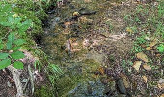 1540 PEPPER Rd 49+/- Acres, Ashland, AL 36251