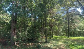 365 Skinner Rd, Austin, AR 72007