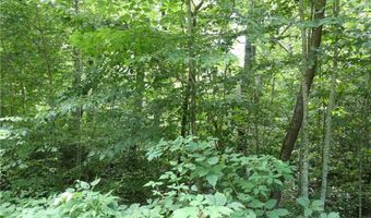 Lot 17 Farm Loop Road, Banner Elk, NC 28604