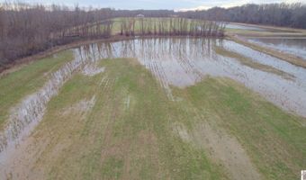 Holloway Landing Road, Barlow, KY 42024
