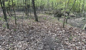 SW Auburn Drive, Bogue Chitto, MS 39629