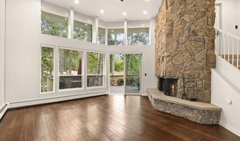 1443 Crystal Lake Rd 3E, Aspen, CO 81611