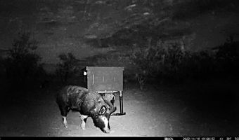 12415 County Road 356, Anson, TX 79501